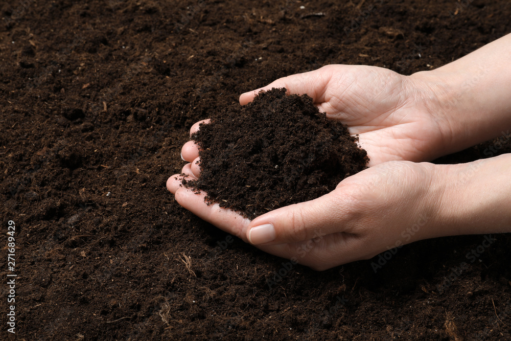 Woman holding fertile soil in hands, closeup. Gardening season Woman holding fertile soil in hands, closeup. Gardening season