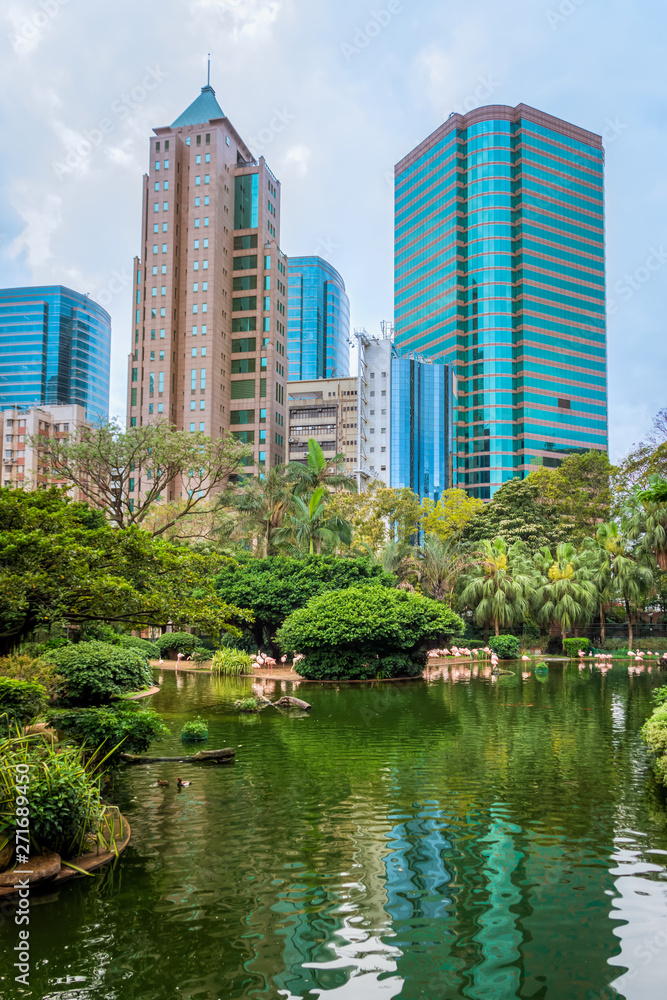 Pond and flamingos at Kowloon Park with skyscrapers behind.