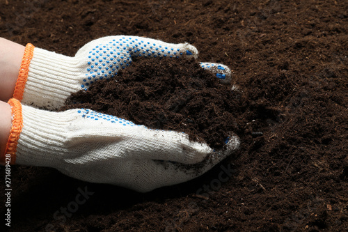 Woman holding fertile soil in hands, closeup. Gardening season