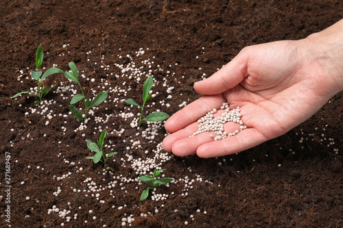 Fotografía Woman fertilizing plant in soil, closeup. Gardening season