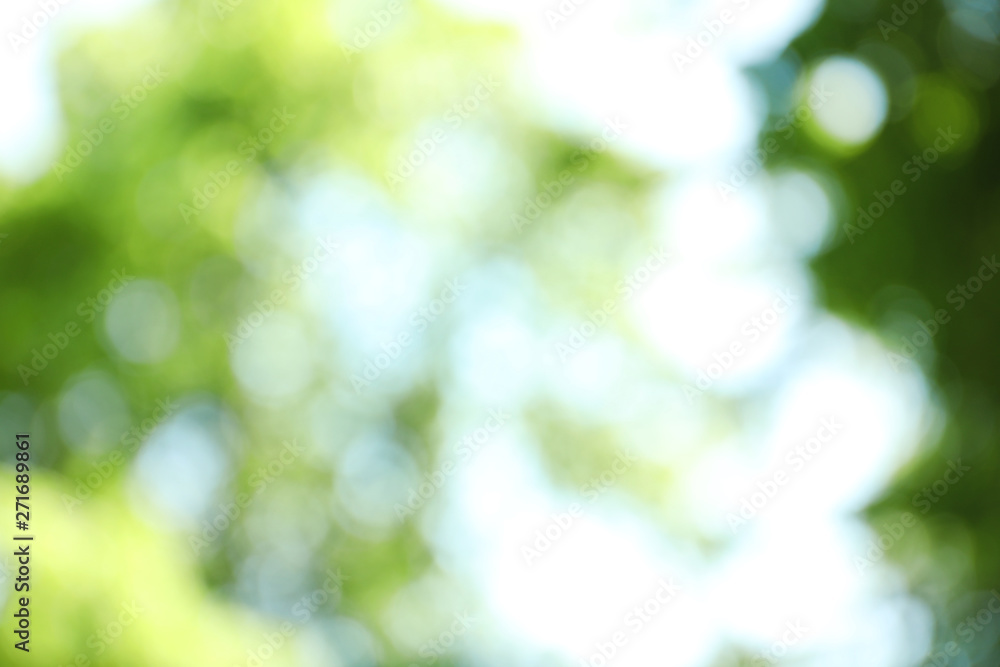 Obraz premium Blurred view of abstract green background. Bokeh effect