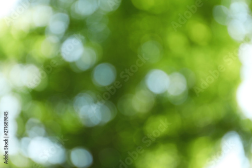 Blurred view of abstract green background. Bokeh effect