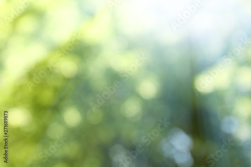 Blurred view of abstract green background. Bokeh effect