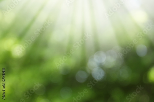 Blurred view of abstract green background. Bokeh effect © New Africa
