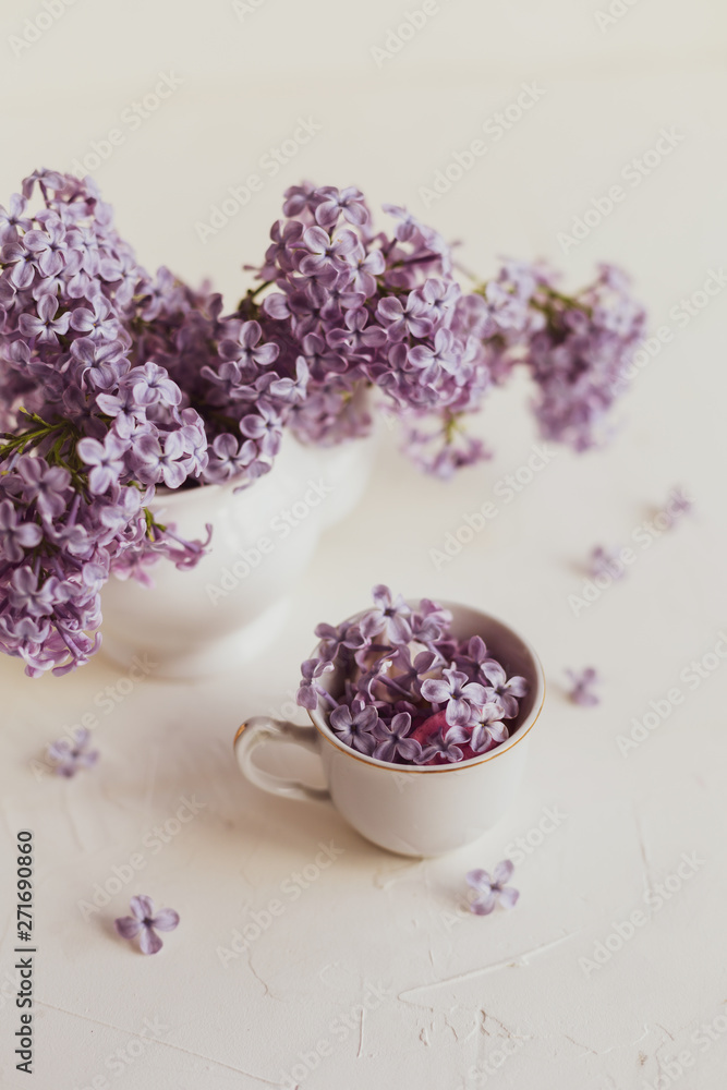Purple spring lilac flowers still life on white Purple spring lilac flowers still life on white
