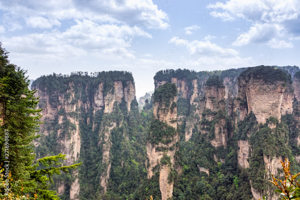 Zhangjiajie Forest Park. Pillar mountains rising from the canyon. Wulingyuan, China