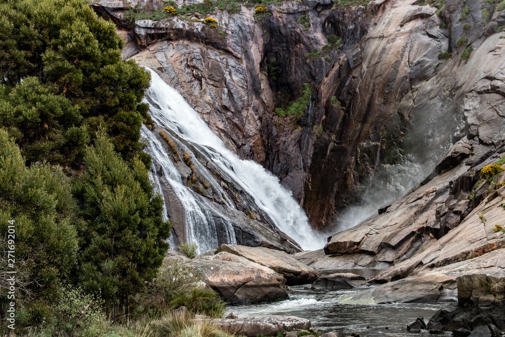 Obraz premium waterfall in forest