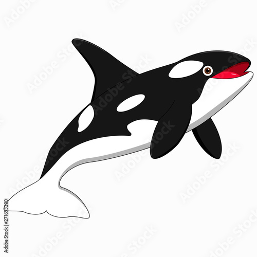 Cute killer whale cartoon on white background
