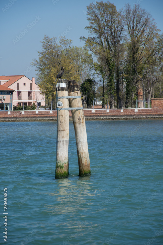 Wooden bricole ,wooden mooring poles in the water, Venice, Italy,2019 Wooden bricole ,wooden mooring poles in the water, Venice, Italy,2019