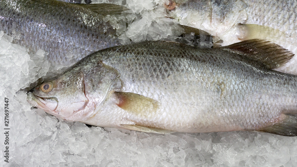 Raw fish on ice at market and department store, Ingredients for cooking, food concept.