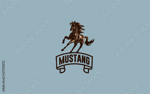Horse image.