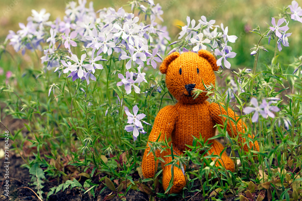 Little teddy bear sits back in the summer garden Little teddy bear sits back in the summer garden
