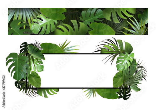 Set of Banners with Tropical Leaves - Detailed and Photorealistic Exotic Plants, Vector Illustrations