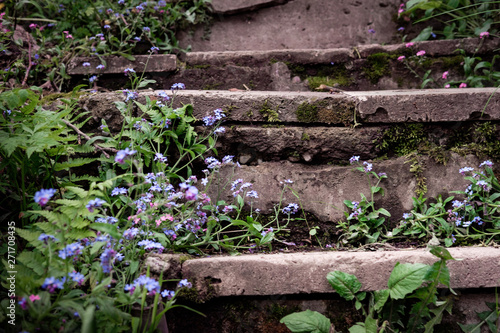 Old stone steps