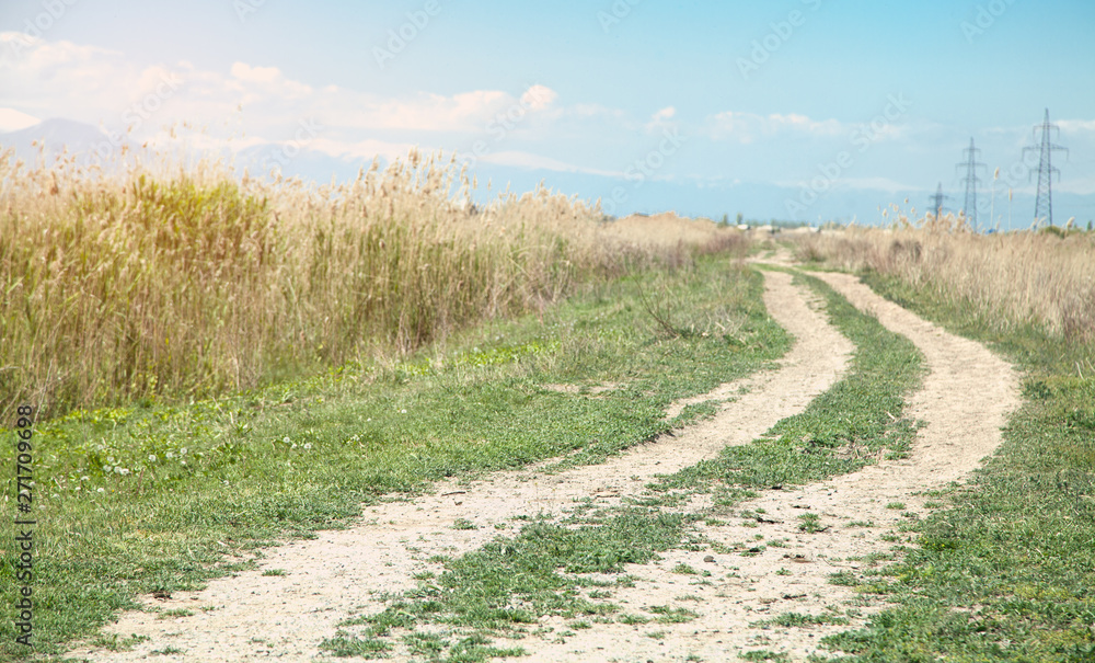 Obraz premium Road in the field. Spring time