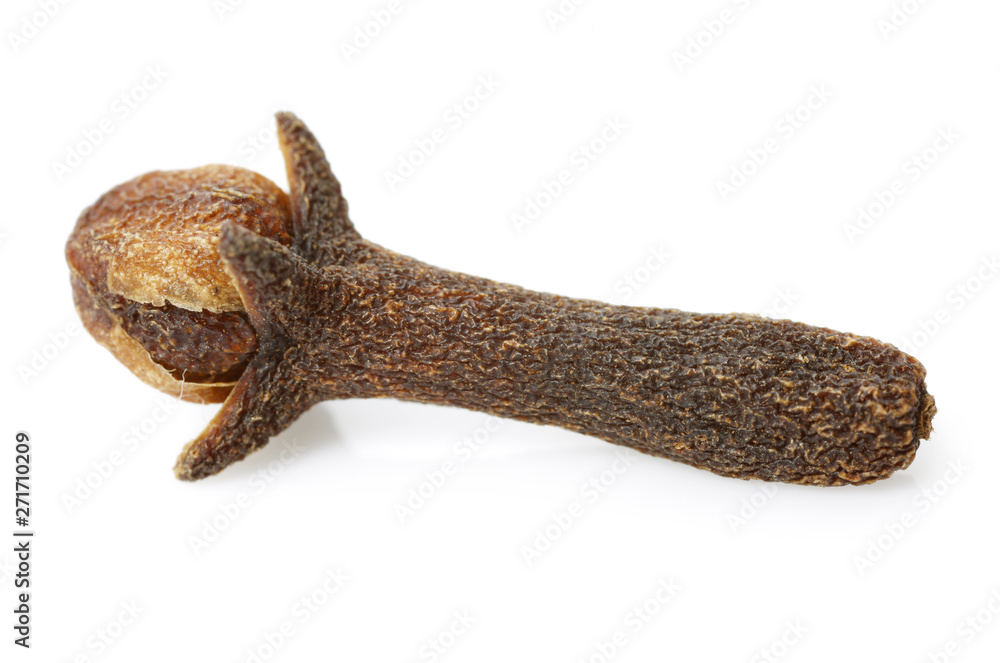 dry cloves on white background dry cloves on white background