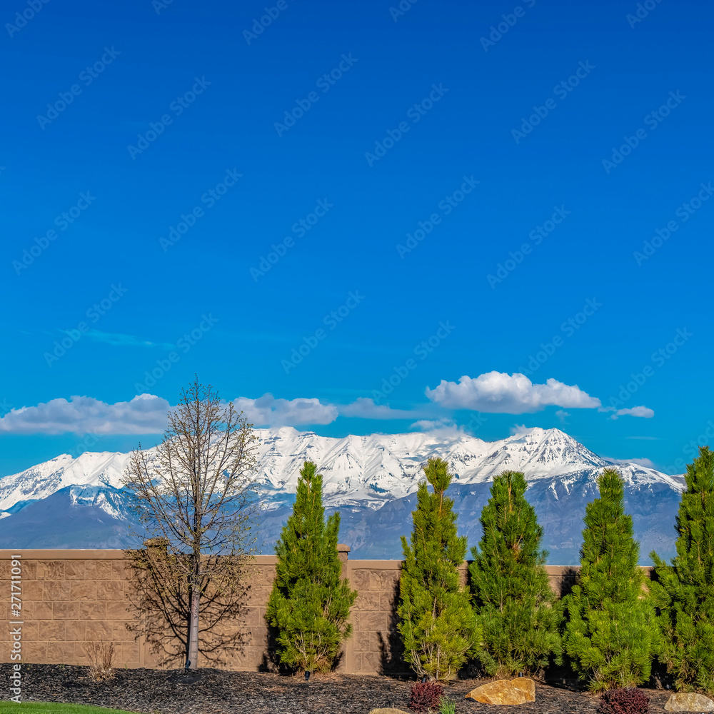 Square Lush trees lining a stone fence with snow capped mountain in the background