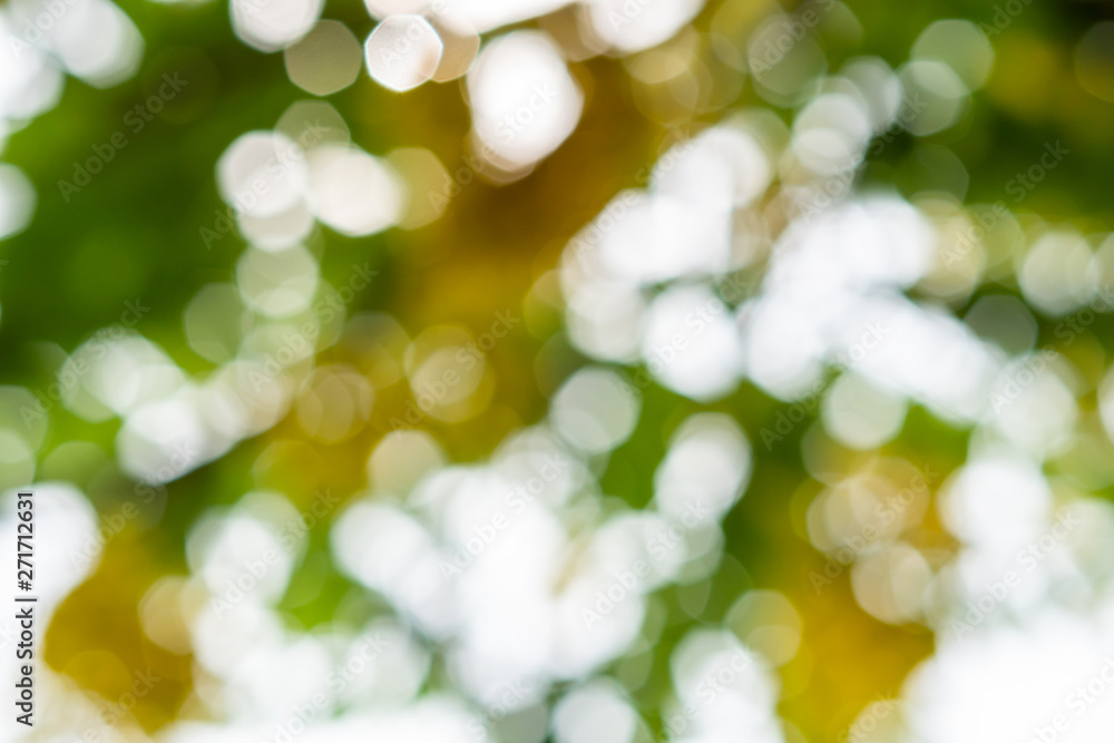 Green bokeh on nature abstract background Green bokeh on nature abstract background