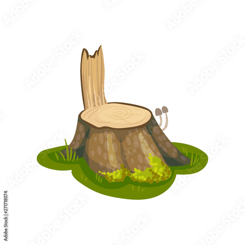 Old stump with a piece of bark stands in a meadow. Vector illustration on white background. photo