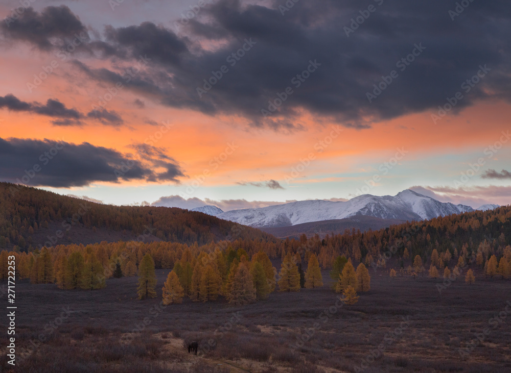 Beautiful Altai mountains in golden autumn