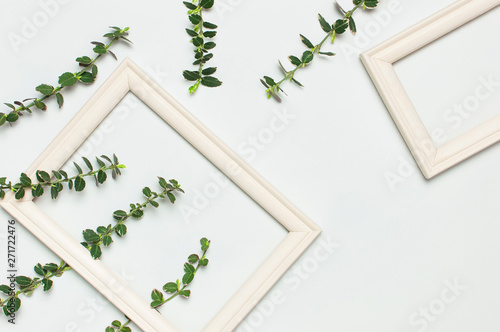 White wooden photo frame and spring green twigs of plants on gray background. Flat lay top view copy space. Stylish minimal composition, artwork mockup, picture frame, home decoration