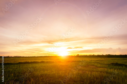 empty glassland and sunset © thekopmylife