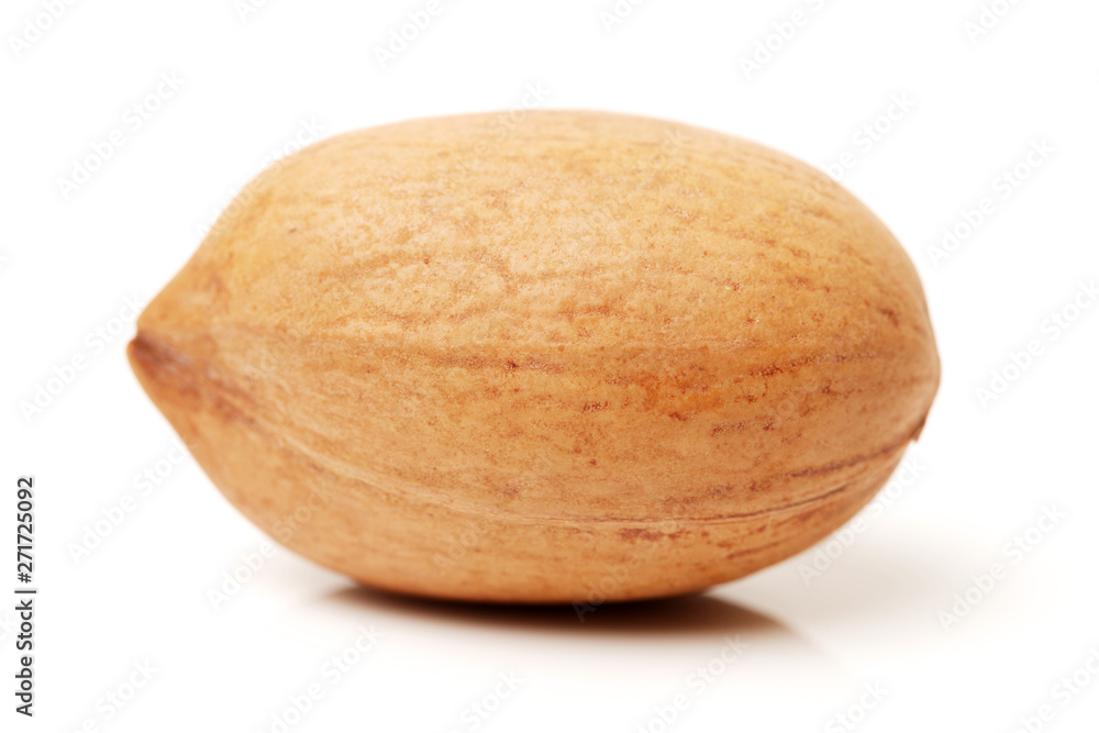 pecan nuts on white background pecan nuts on white background