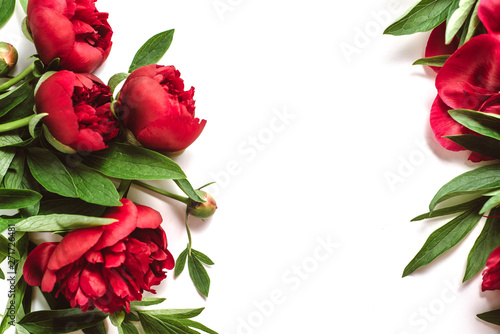 Flowers composition. Frame of red peonies flowers on white background. Summer concept. Flat lay, top view, copy space