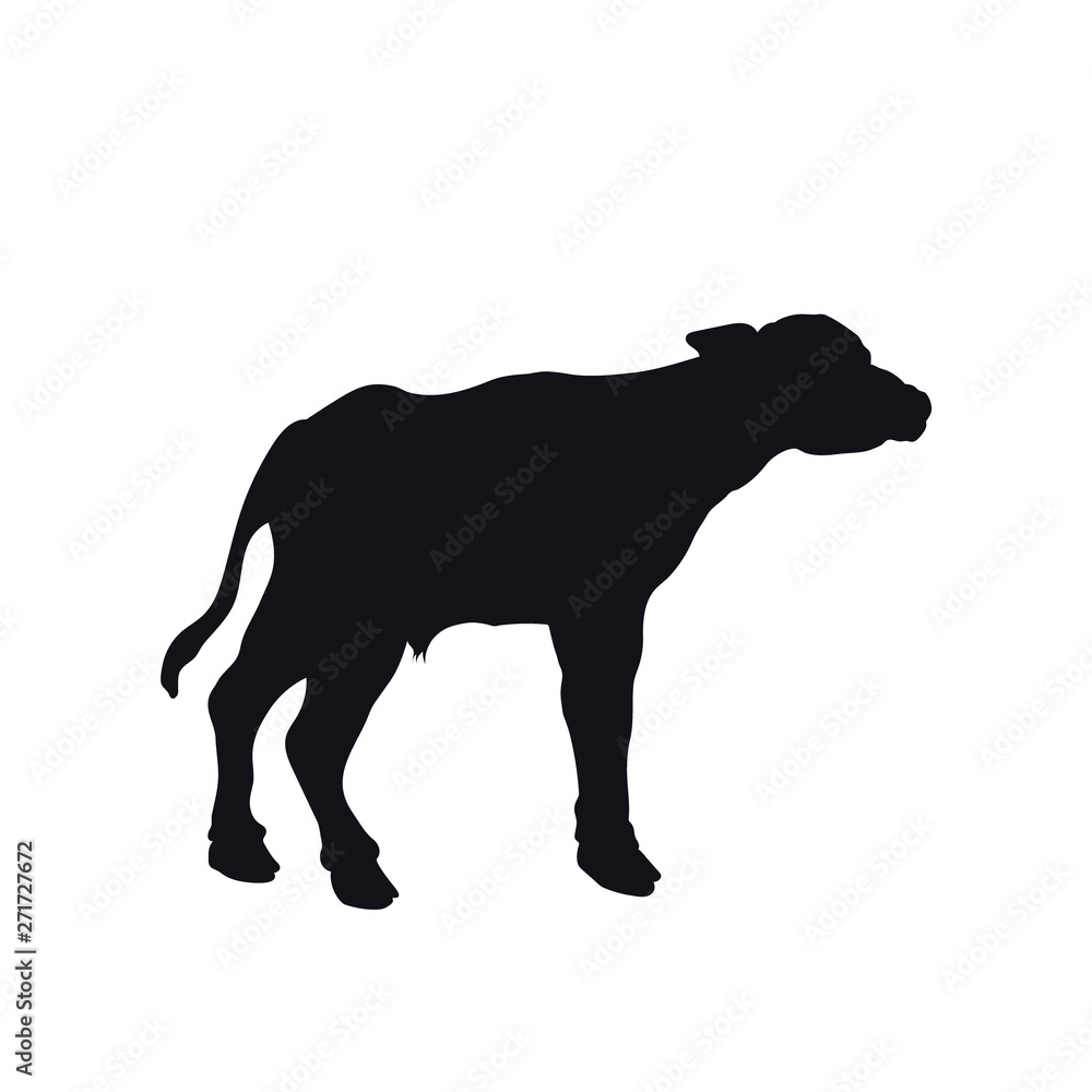 Black silhouette of little african buffalo on white background. Isolated calf icon. Wild animals of Africa. Savannah nature