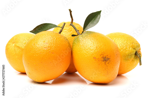 Orange fruit on the white background