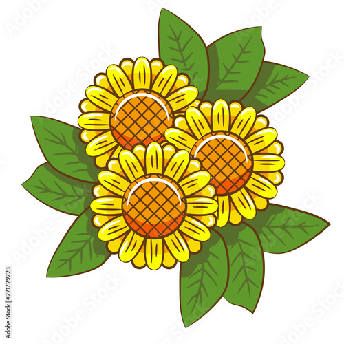 sunflower vector graphic design