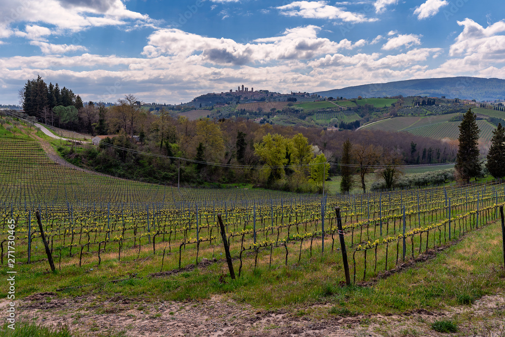 Landschaftspanorama mit Blick über die Weinreben nach San Gimignano Toskana Italien