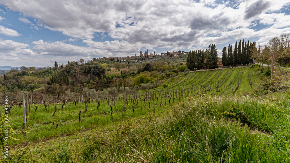 Landschaftspanorama mit Blick über die Weinreben nach San Gimignano Toskana Italien