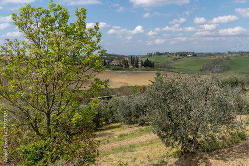 Landschaftspanorama Toskana Italien