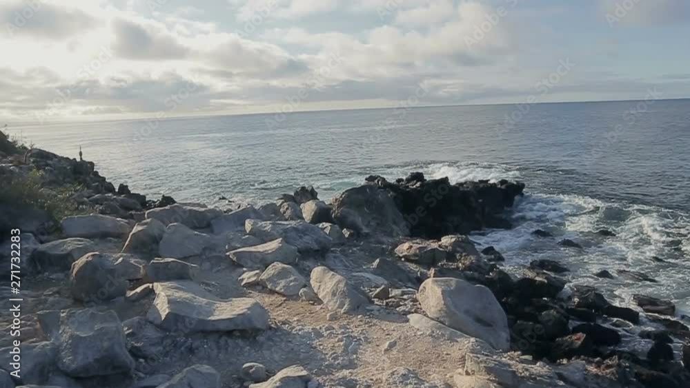 Galapagos Islands Sea Galapagos Islands Sea