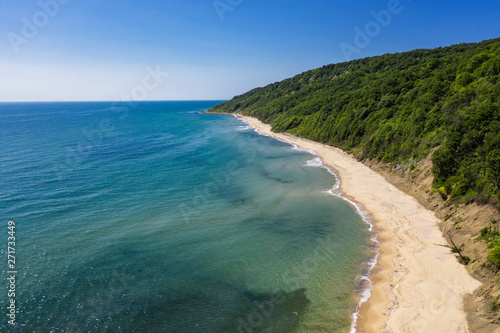 Aerial view to beautiful beach and forest