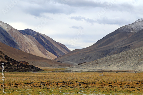 Mountain Perspective at Pangong Lake, India