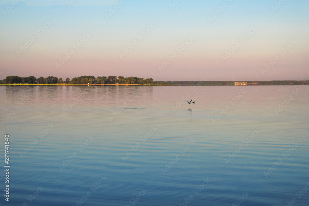 Pink dawn on the Svityaz Lake in Ukraine. Still on the water. Birds on the water.Copy space.