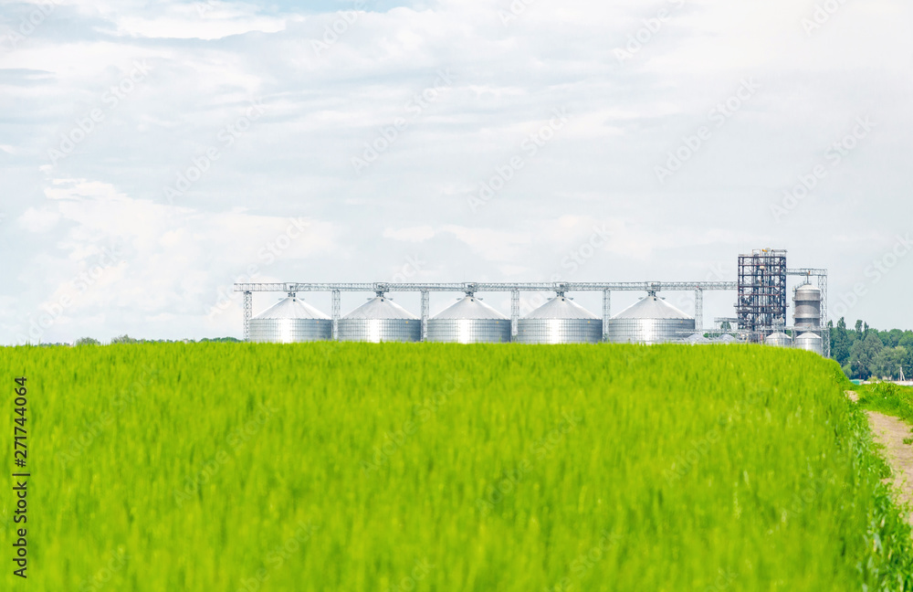 Fototapeta premium Metal modern elevator in the field of wheat