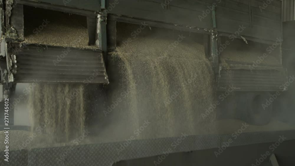 Unloading grain granary Unloading grain granary