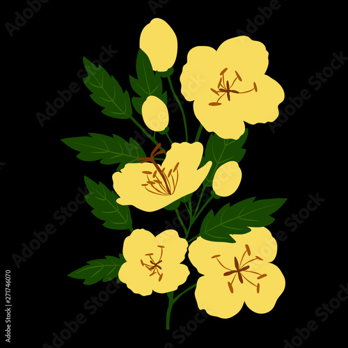 Vector illustration of bouquet of yellow wildflowers