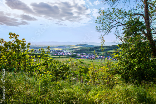 Oberrotweil_Kaiserstuhl_9096