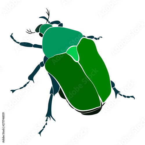 Vector illustration of green beetle. Cryptocephalus sericeus