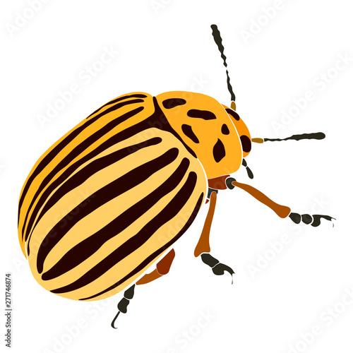 Vector illustration of yellow beetle with black stripes and spots. Colorado beetle