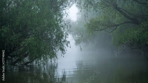 First light of a misty and foggy morning creating a picturesque atmosphere at the Danube Delta Romania