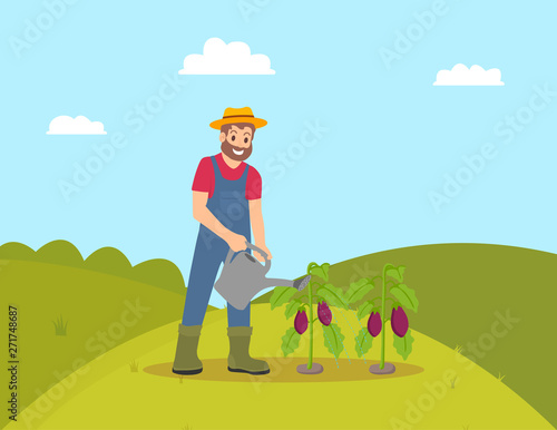 Farming man with watering can vector. Farmer growing vegetables and taking care of eggplant plantation. Hill field with greenery and clouds above