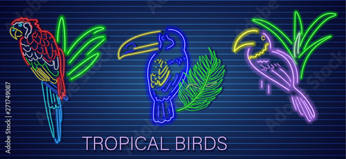 Tropic parrot set neon Vector. Glowing shiny birds decor templates