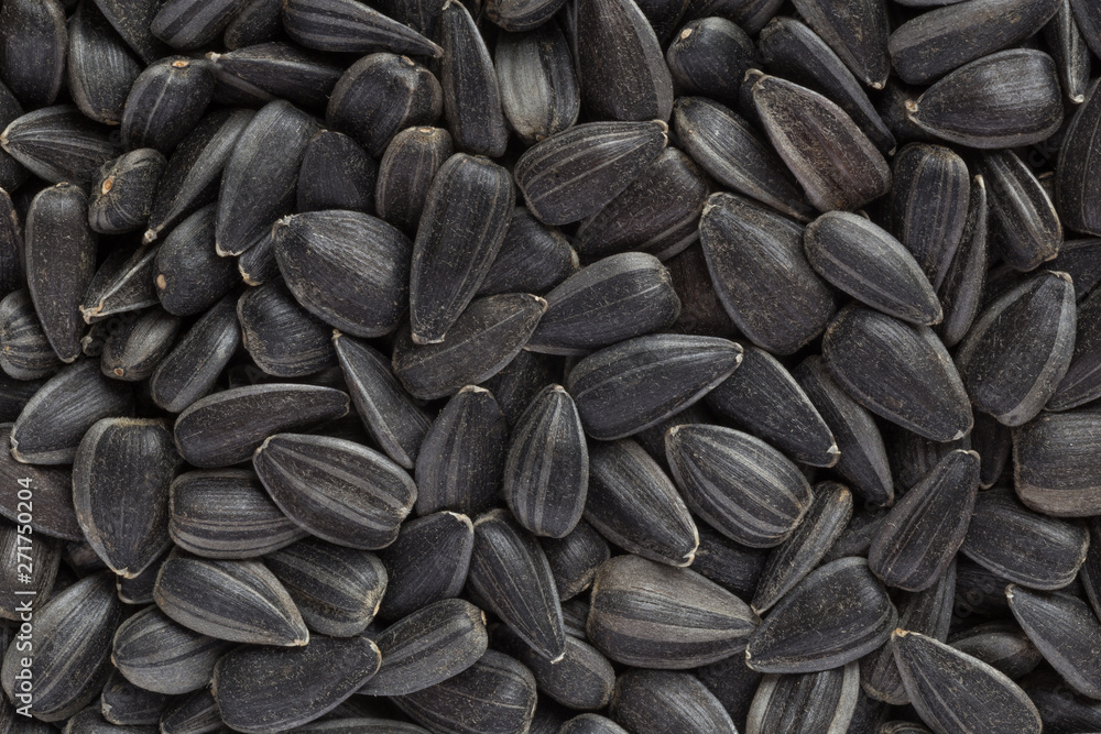 close up of sunflower seeds background close up of sunflower seeds background