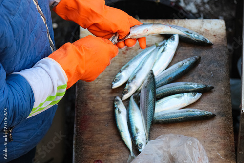 Photography Fishermans hands in orange gloves gutting a small fish
