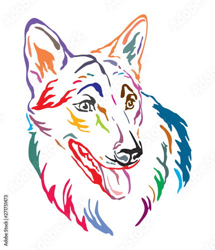 Colorful decorative portrait of Czechoslovakian Wolfdog vector illustration